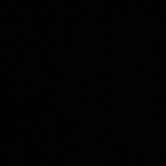 Meet your Posher, Leylah - Picture 1 of 1